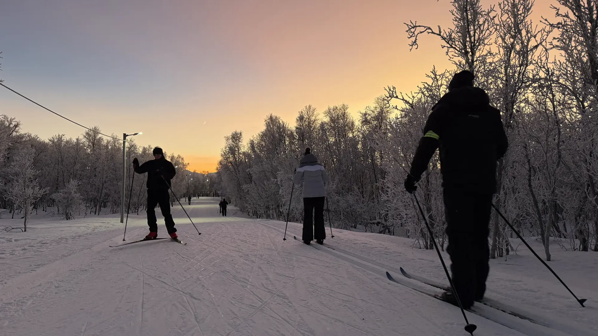 Hero image for Tromsø Adventures
